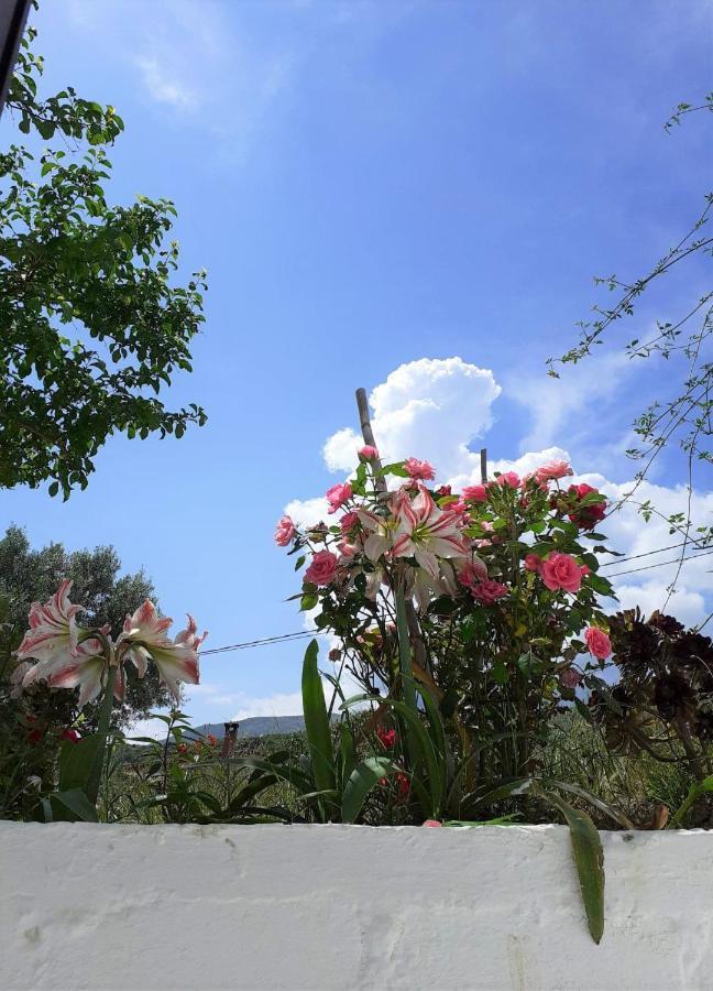 Daphnes Apartments Ratzaklion ภายนอก รูปภาพ